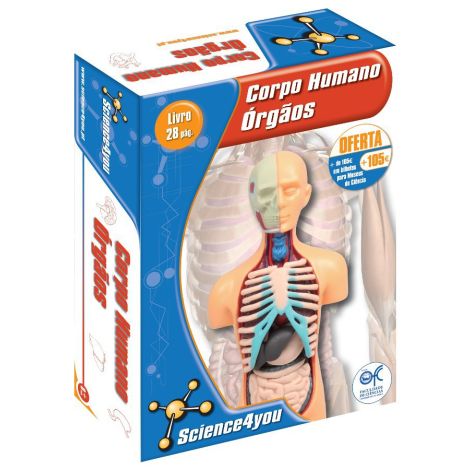 Corpo Humano - Órgãos